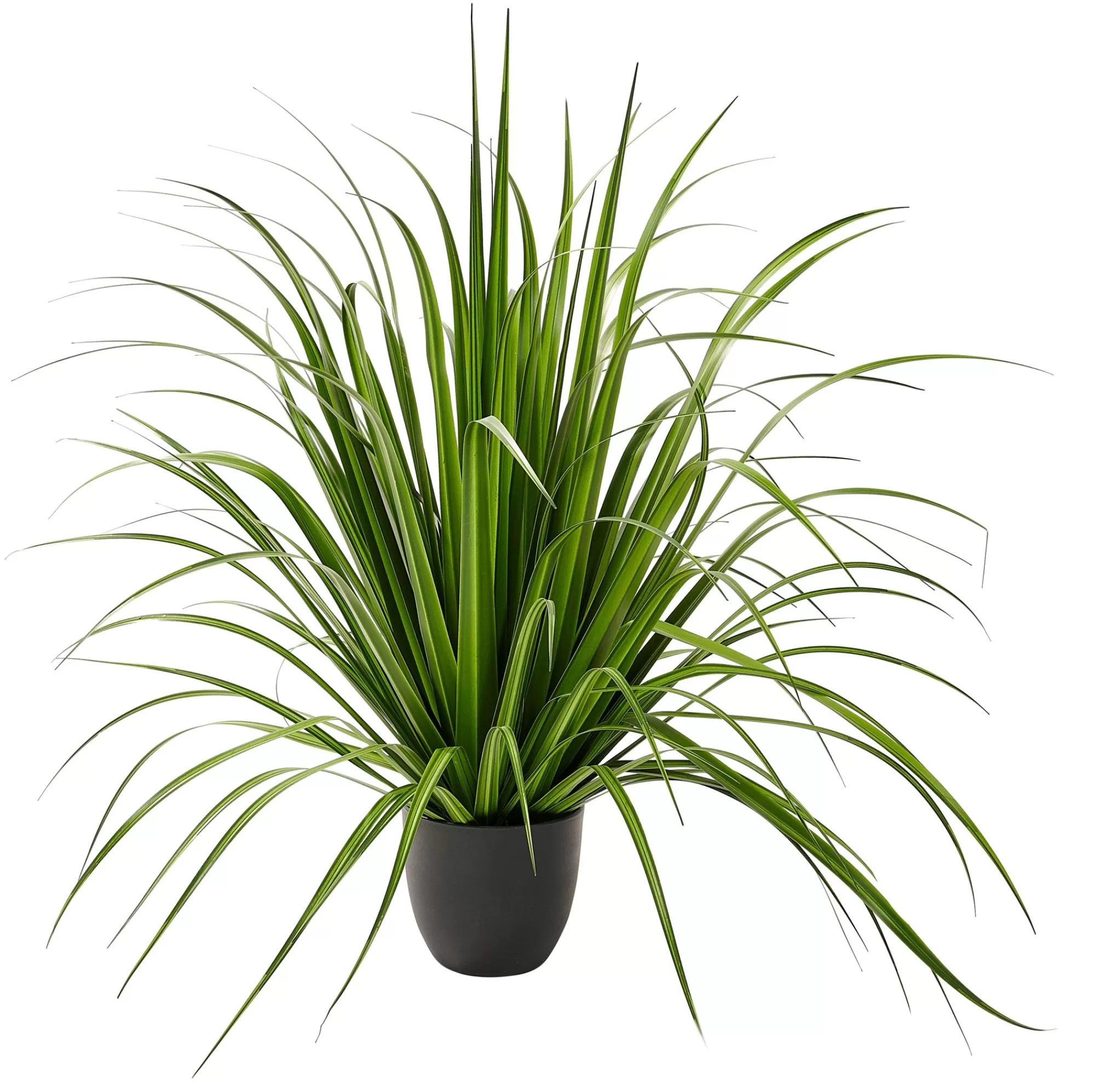 CASA Allium Erba Decorativa Verde* Piante Artificiali