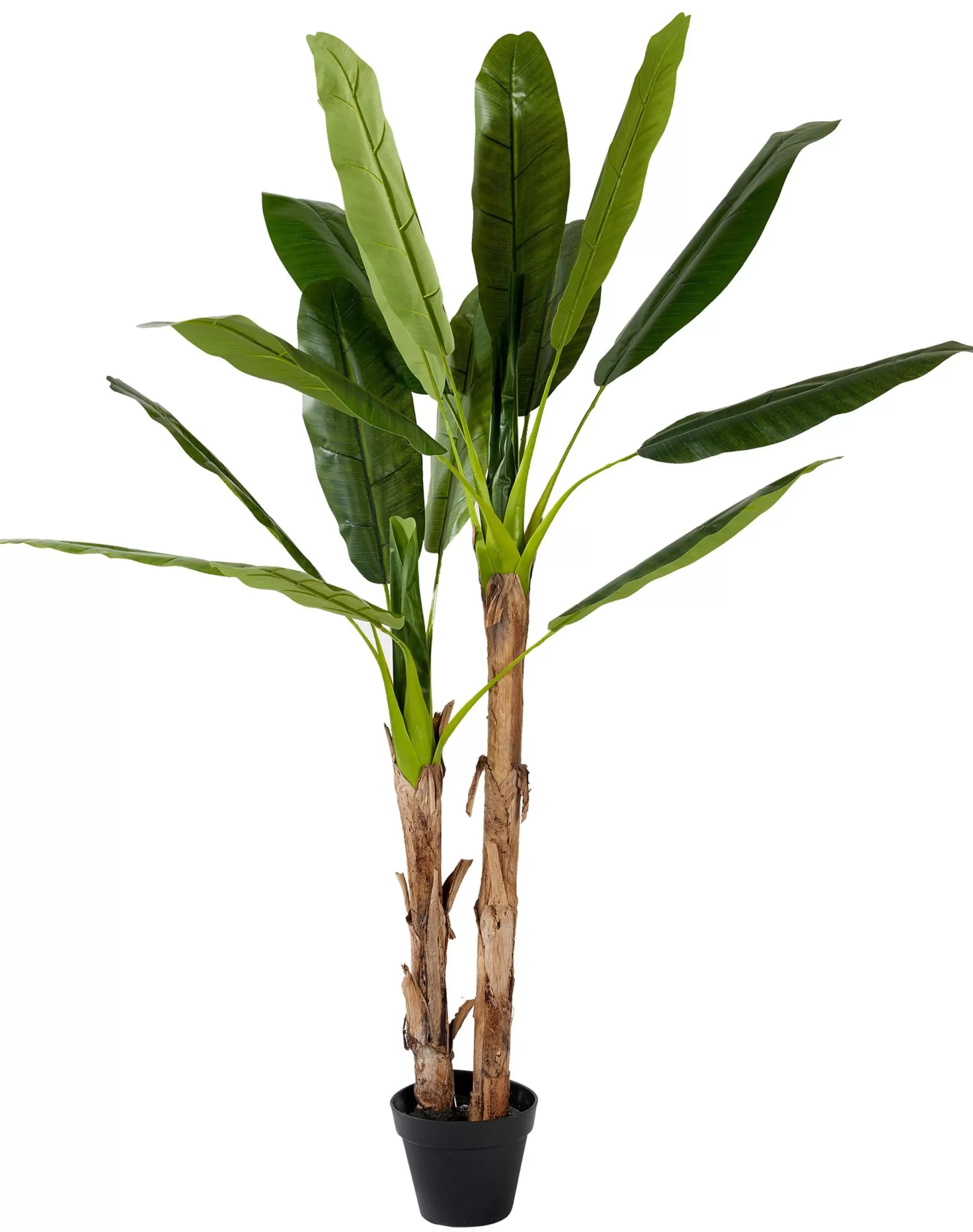CASA Banana Banano Verde* Piante Artificiali