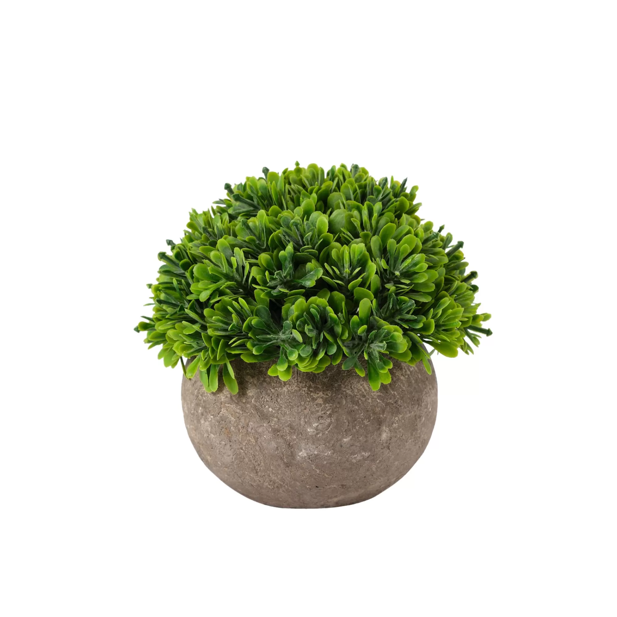 CASA Buxus Pianta Vari Colori* Piante Artificiali