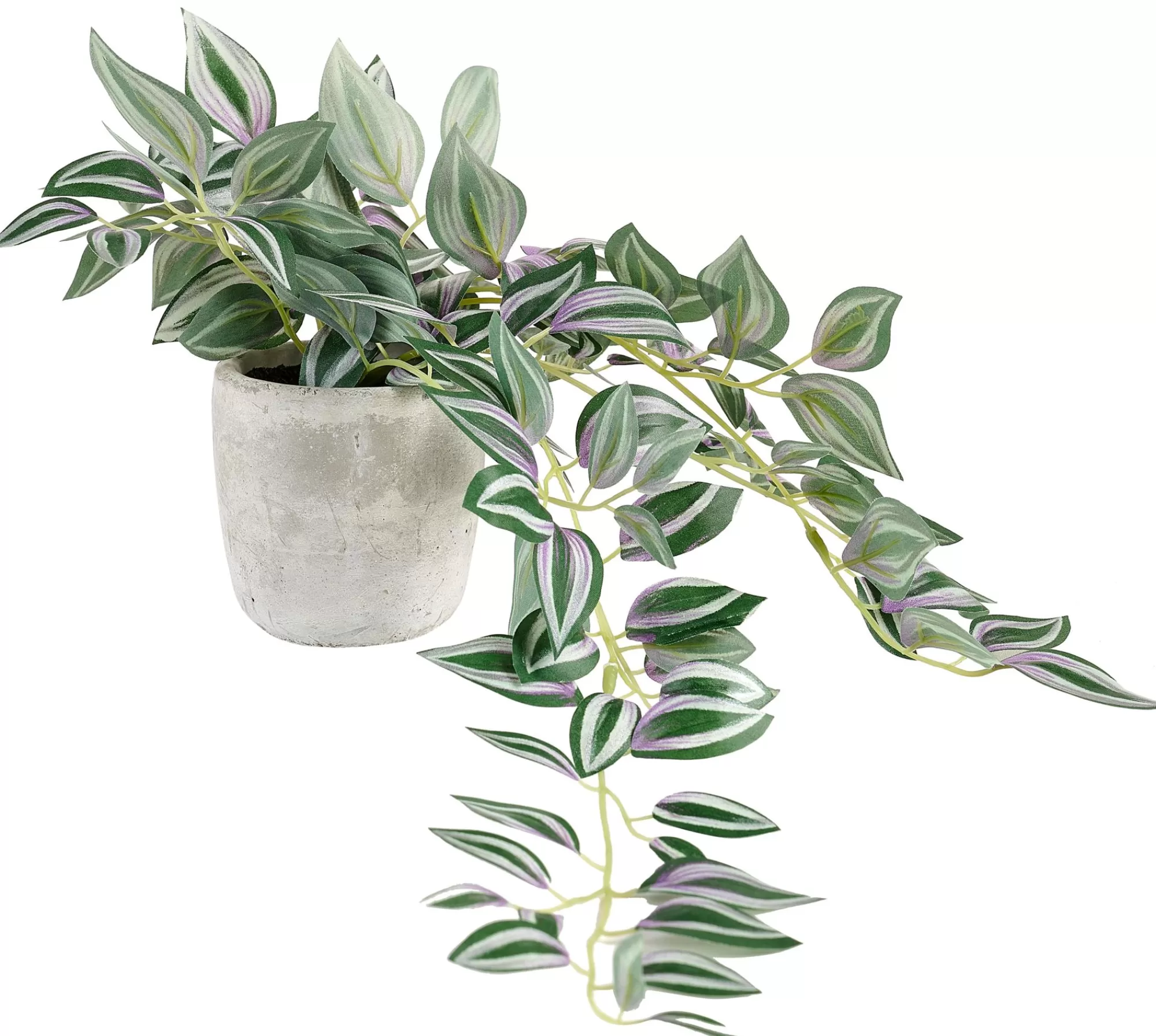 CASA Calathea Pianta Sospesa Grigio, Verde, Viola* Piante Artificiali