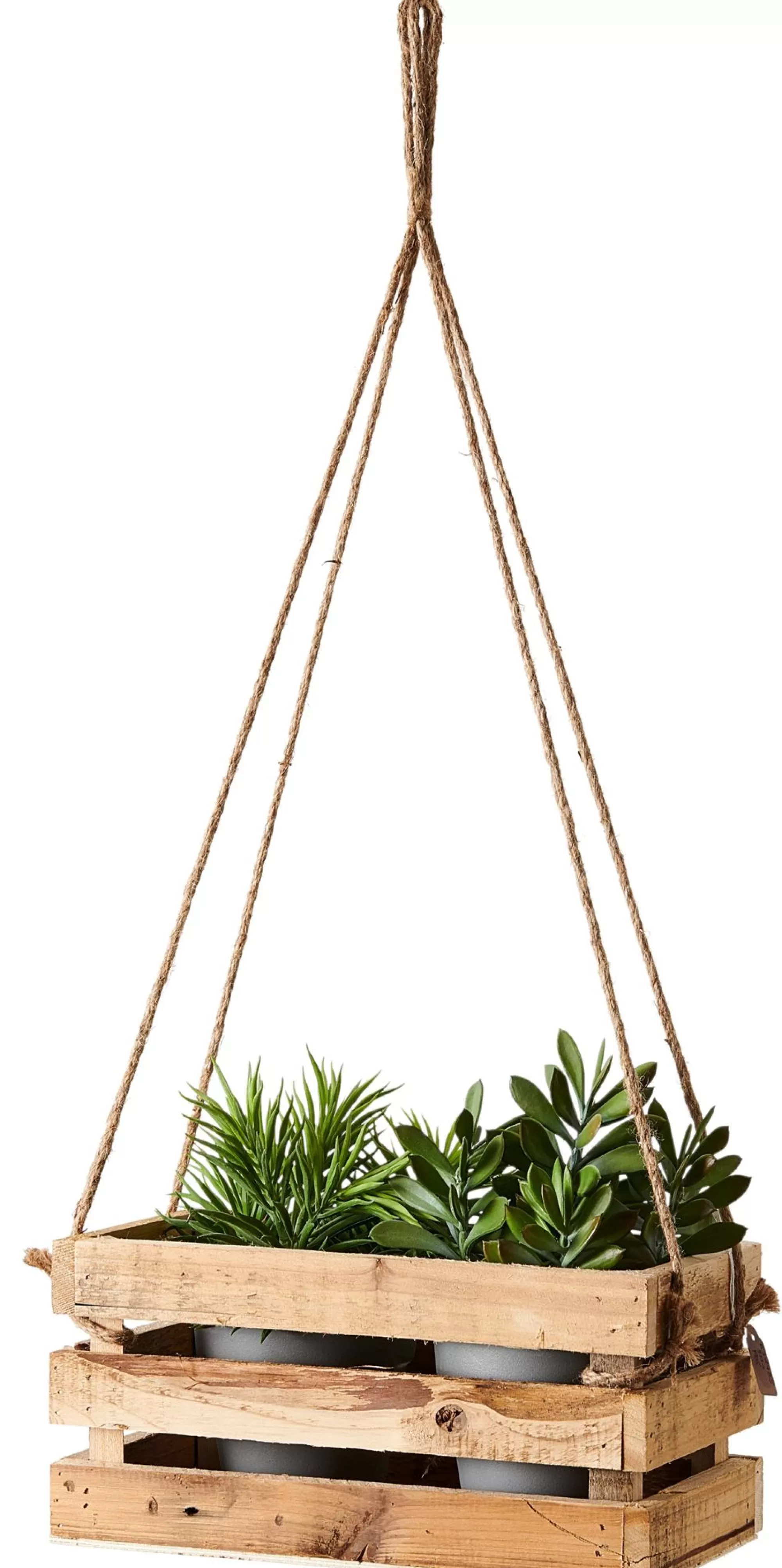 CASA Crate Cassa Naturale* Cassette