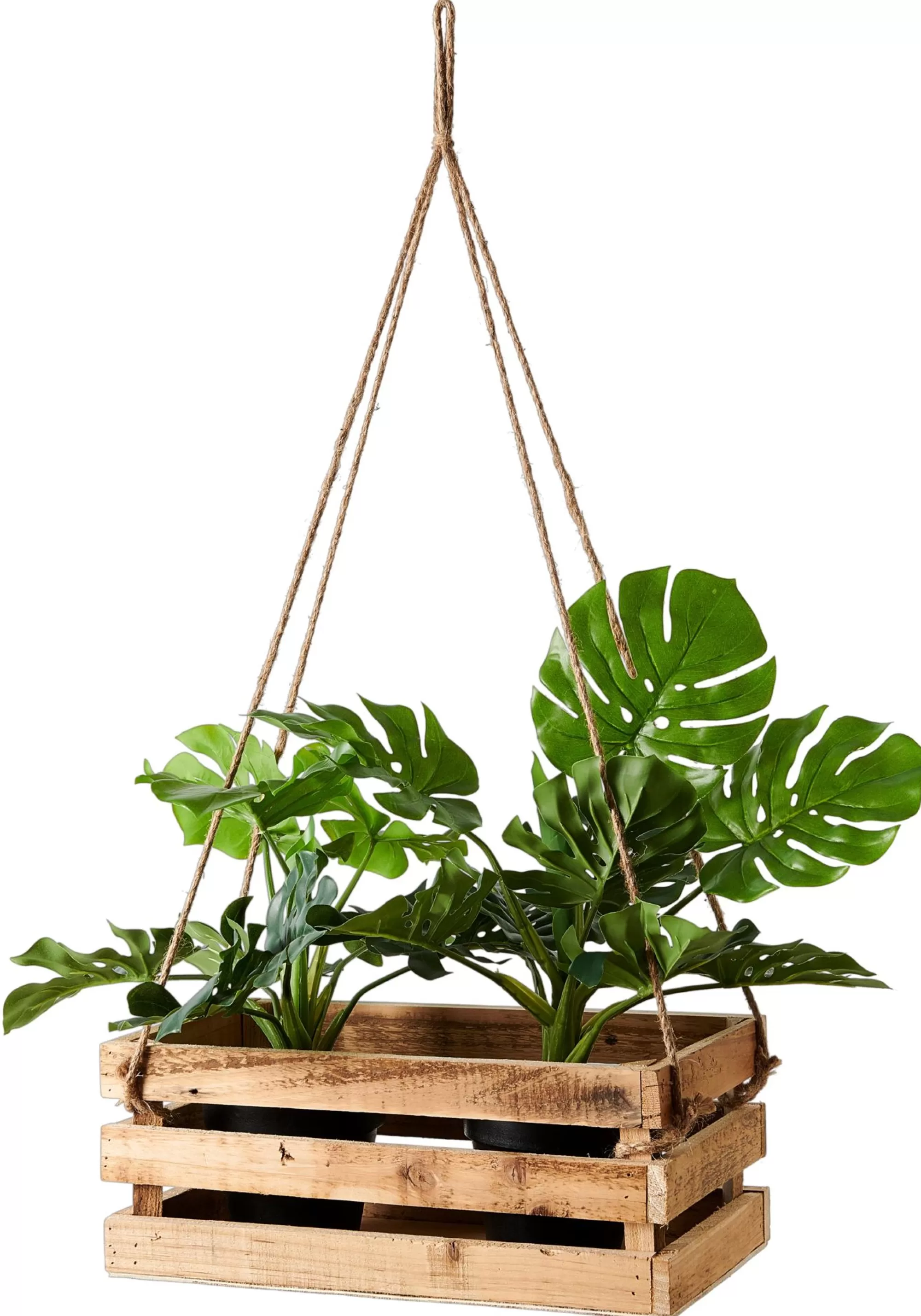 CASA Crate Cassa Naturale* Cassette