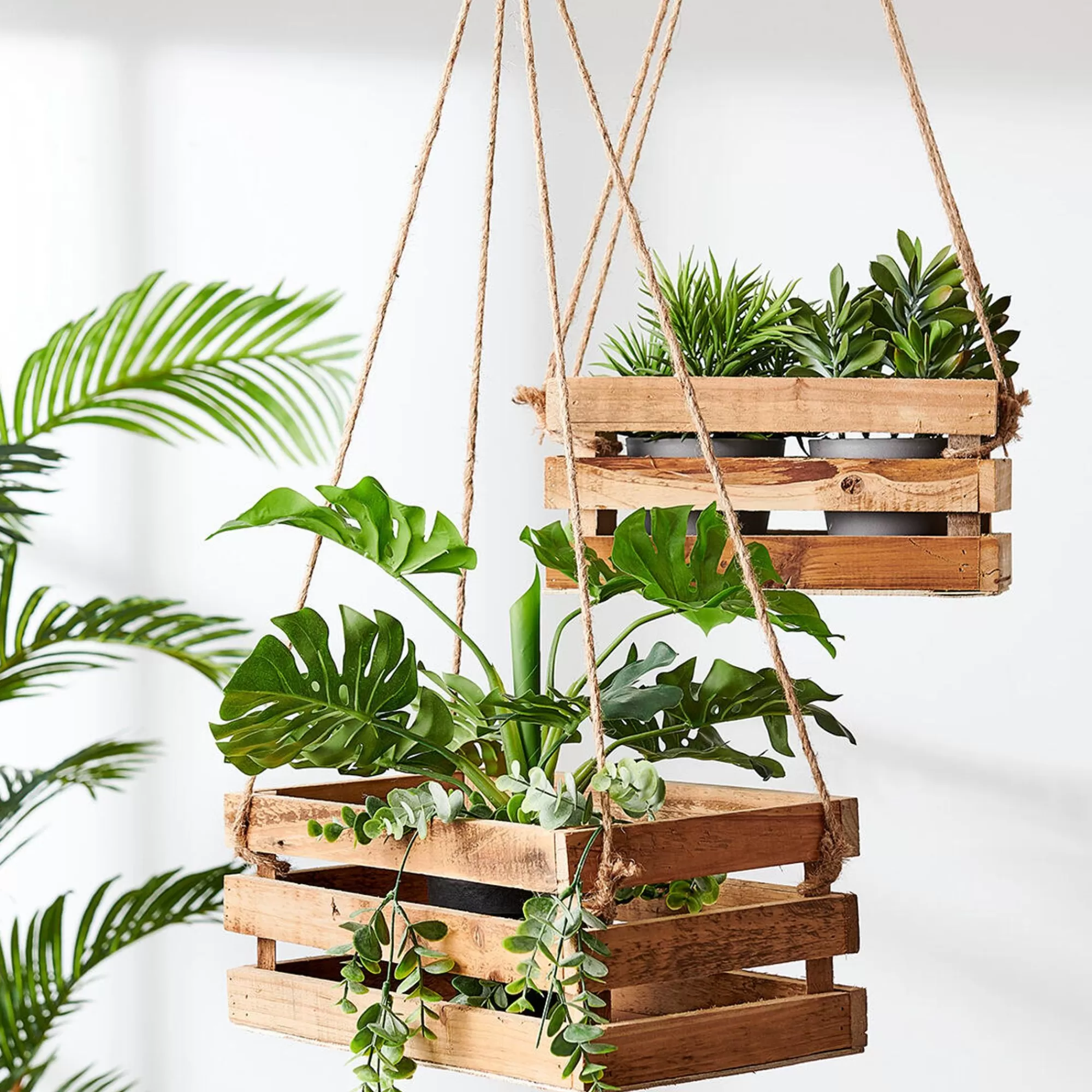 CASA Crate Cassa Naturale* Cassette