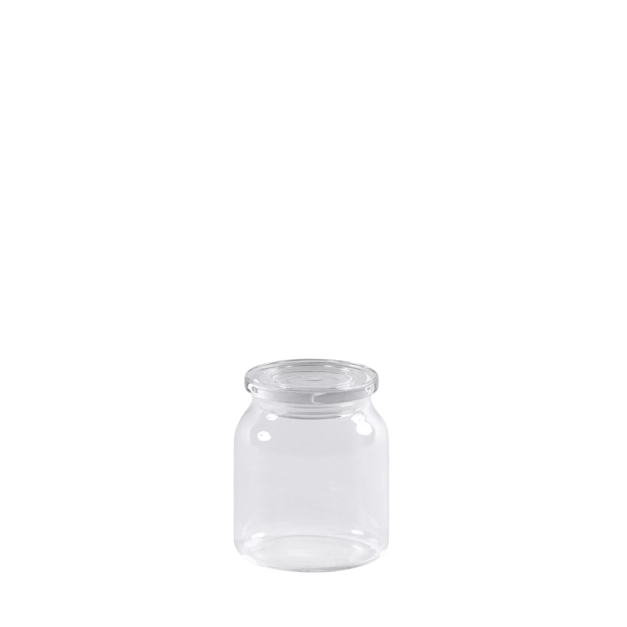 CASA Crystal Contenitore Vivande Con Coperchio Trasparente* Barattoli