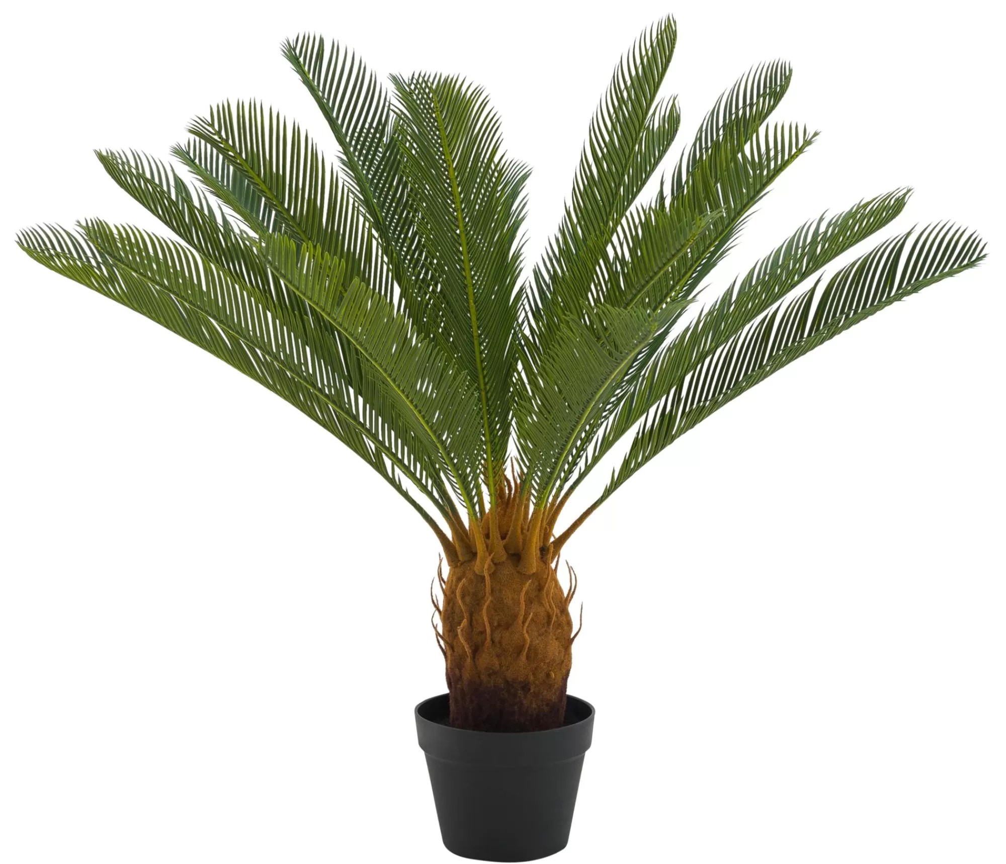 CASA Cycas Palma Verde* Piante Artificiali