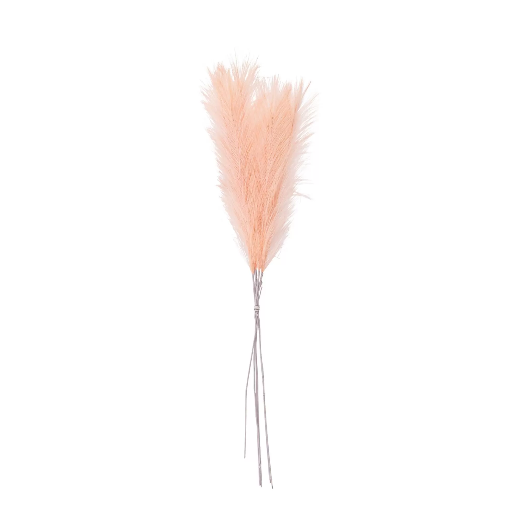 CASA Ecru Piume Decorative Marrone Chiaro* Rami Artificiali