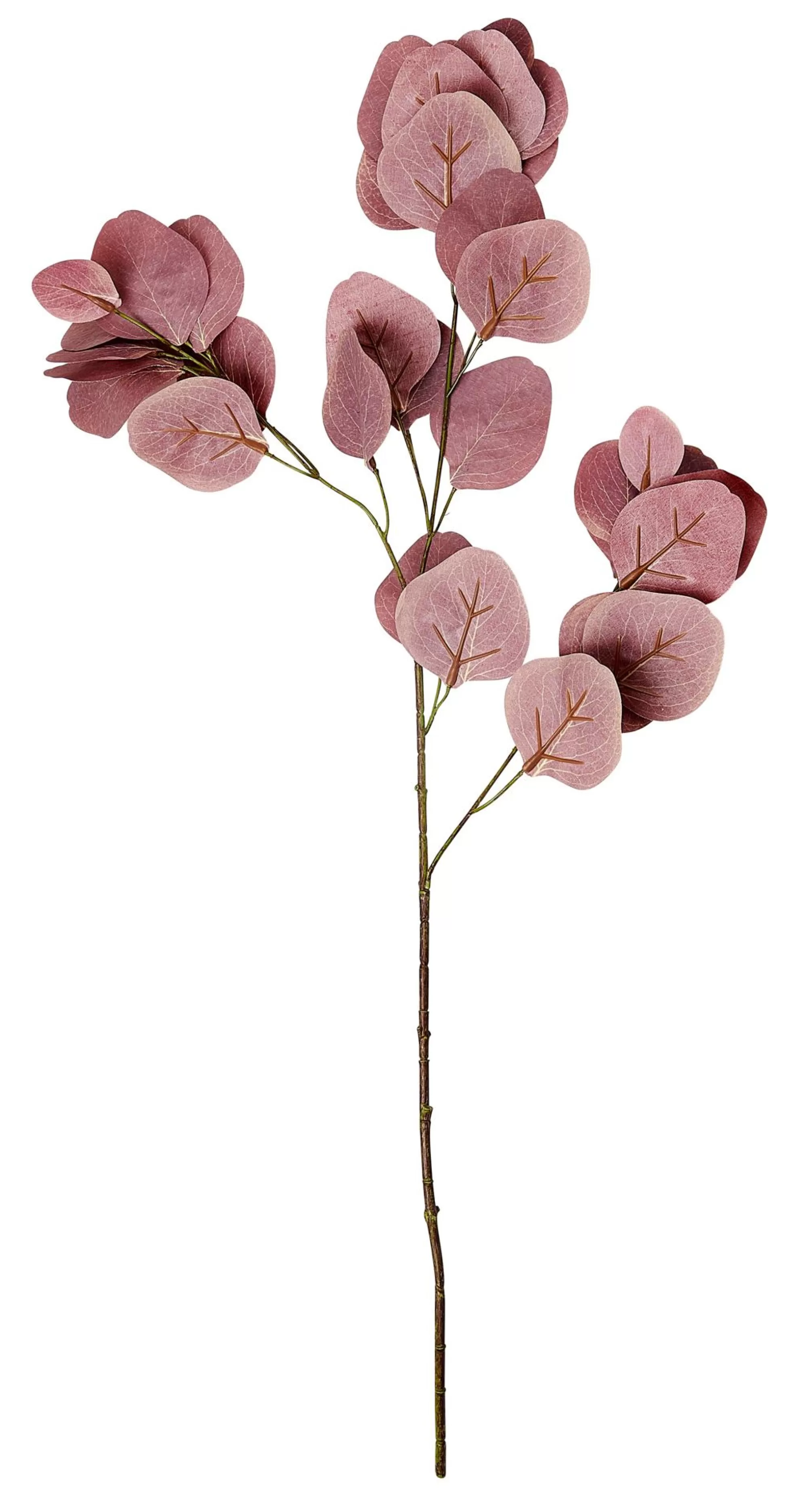 CASA Eucalyptus Ramo Artificiale Bordeaux* Rami Artificiali