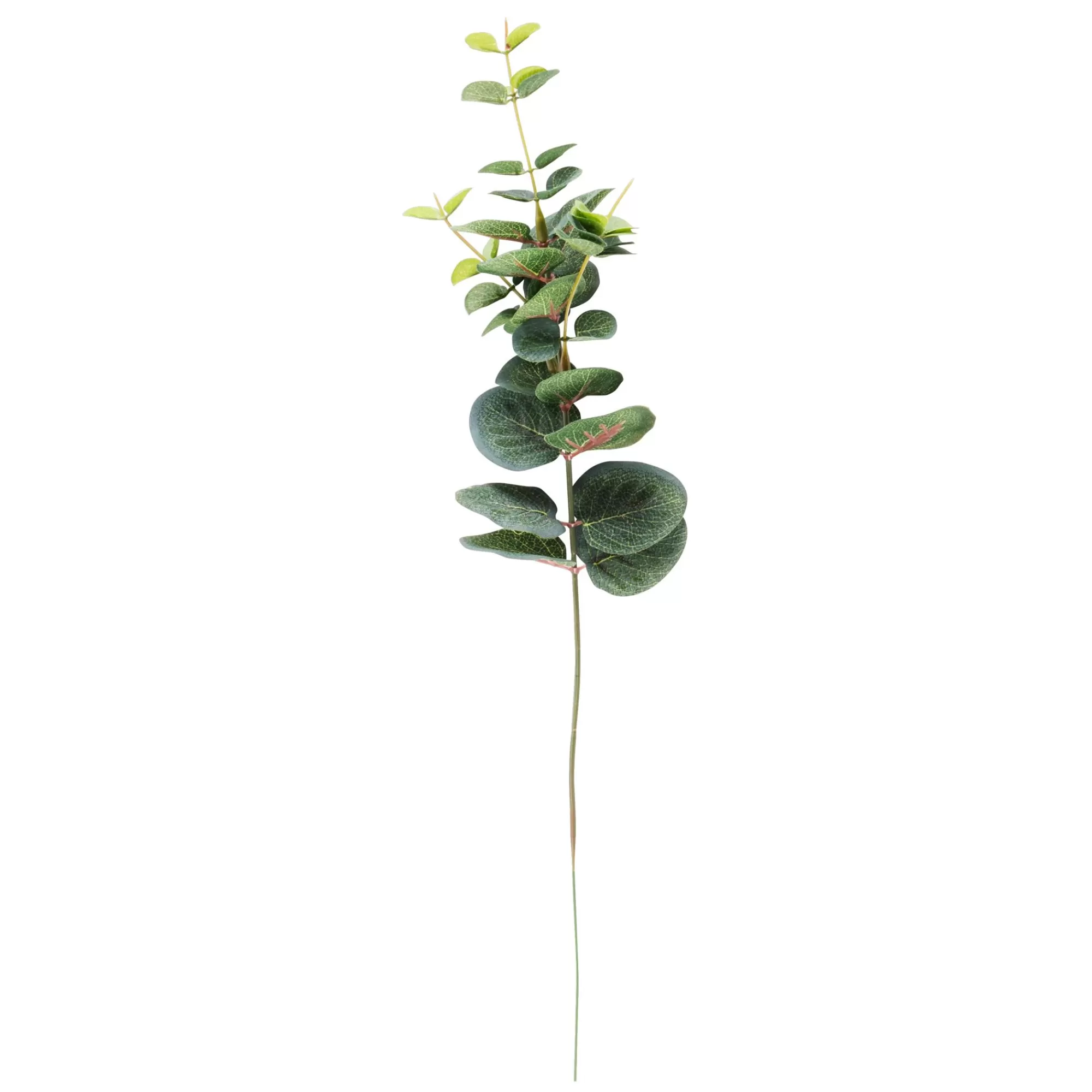 CASA Eucalyptus Ramo Artificiale Verde* Rami Artificiali