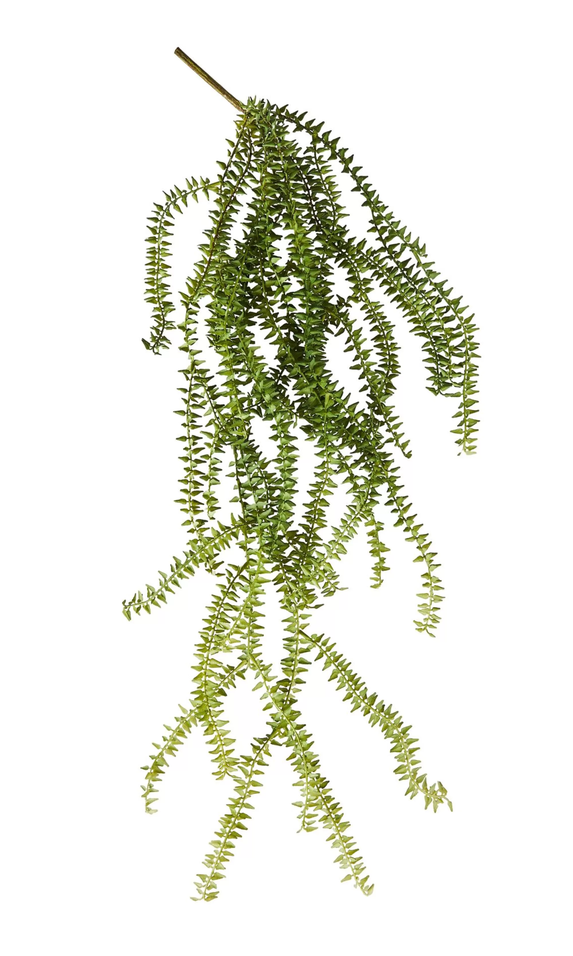 CASA Fern Ramo Di Felce Verde* Rami Artificiali