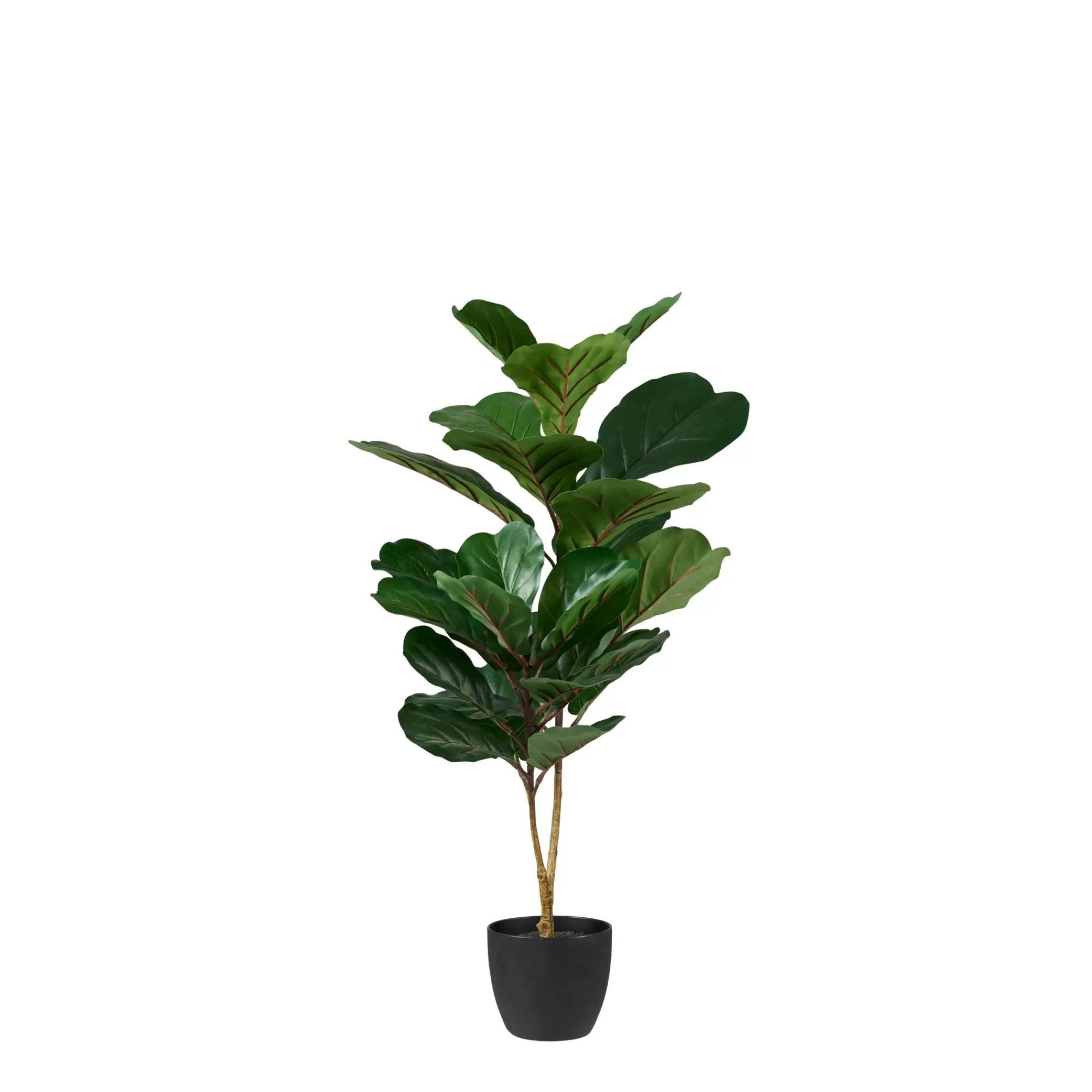 CASA Figi Nero, Verde Scuro* Piante Artificiali