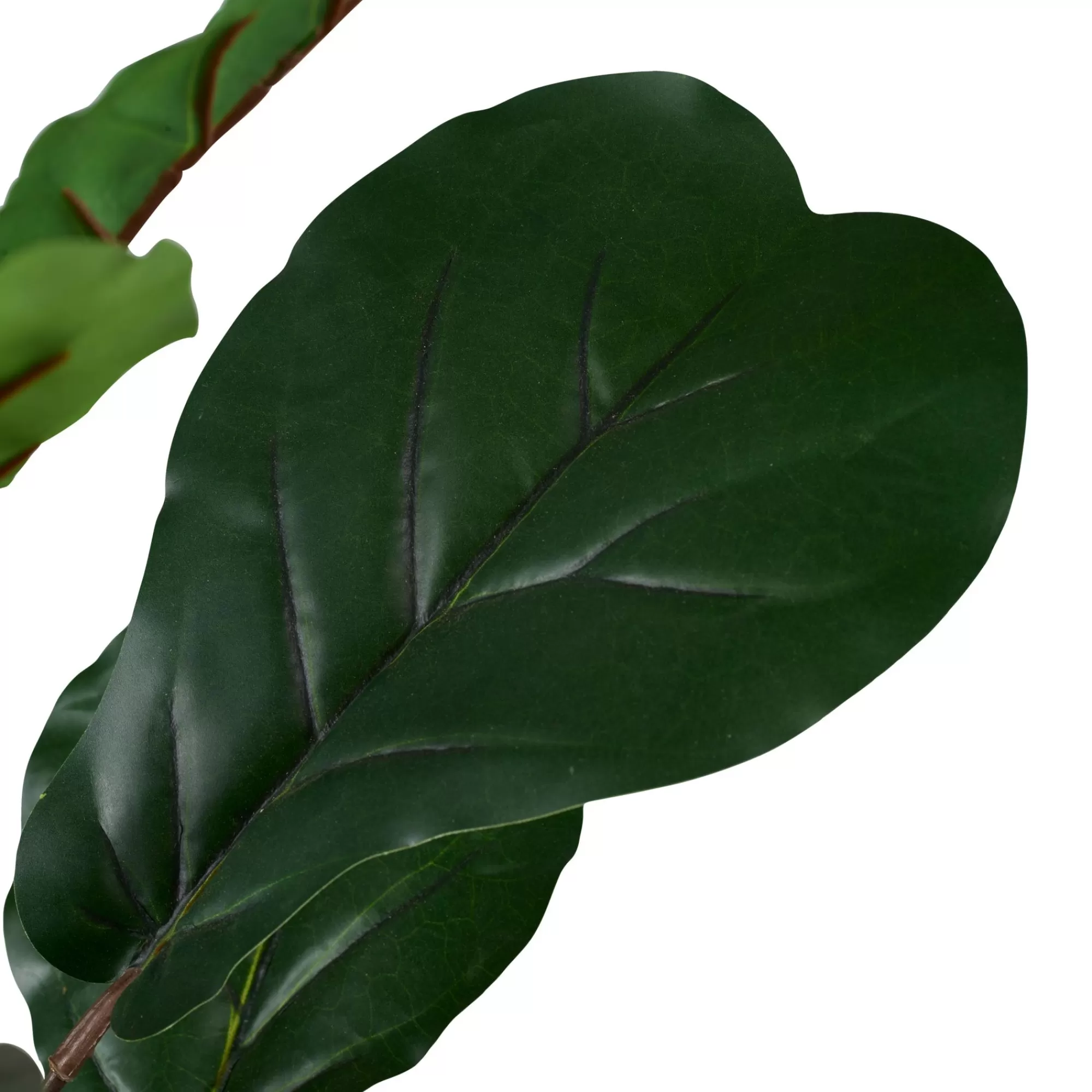 CASA Figi Nero, Verde Scuro* Piante Artificiali