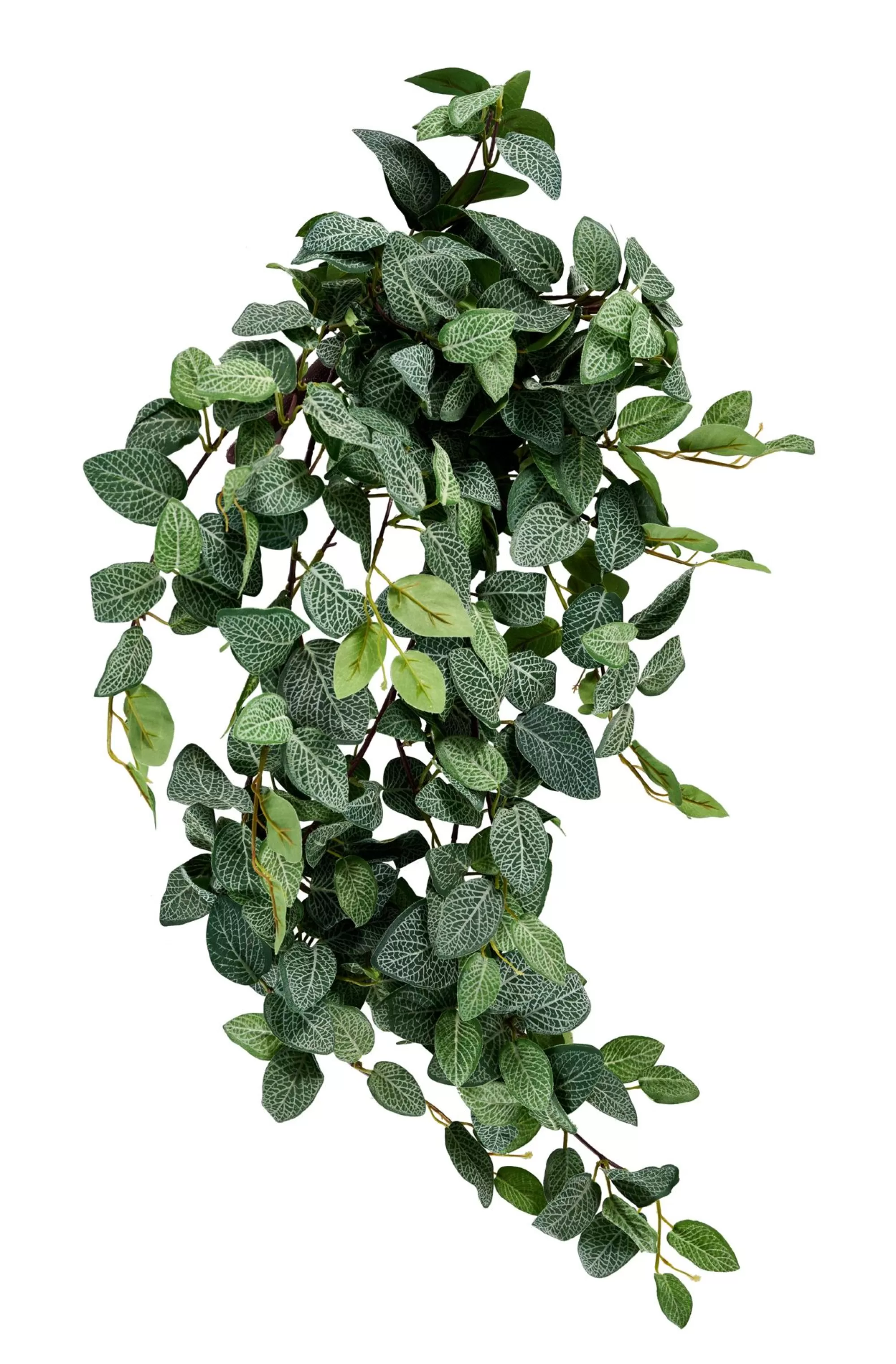 CASA Fittonia Ghirlanda Di Foglie Verde* Rami Artificiali