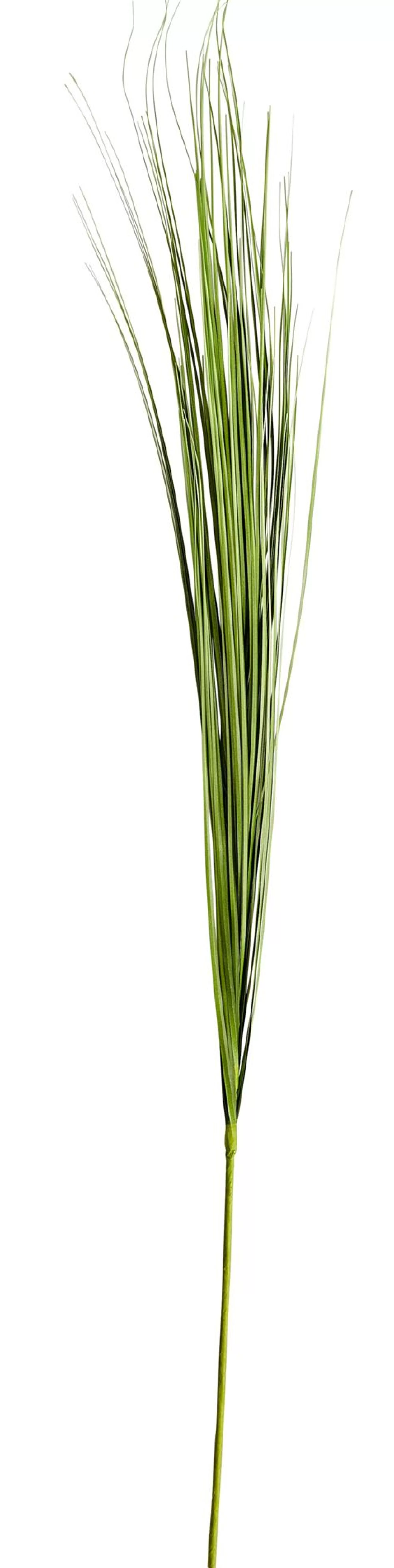 CASA Grass Mazzo Di Erba Verde* Rami Artificiali