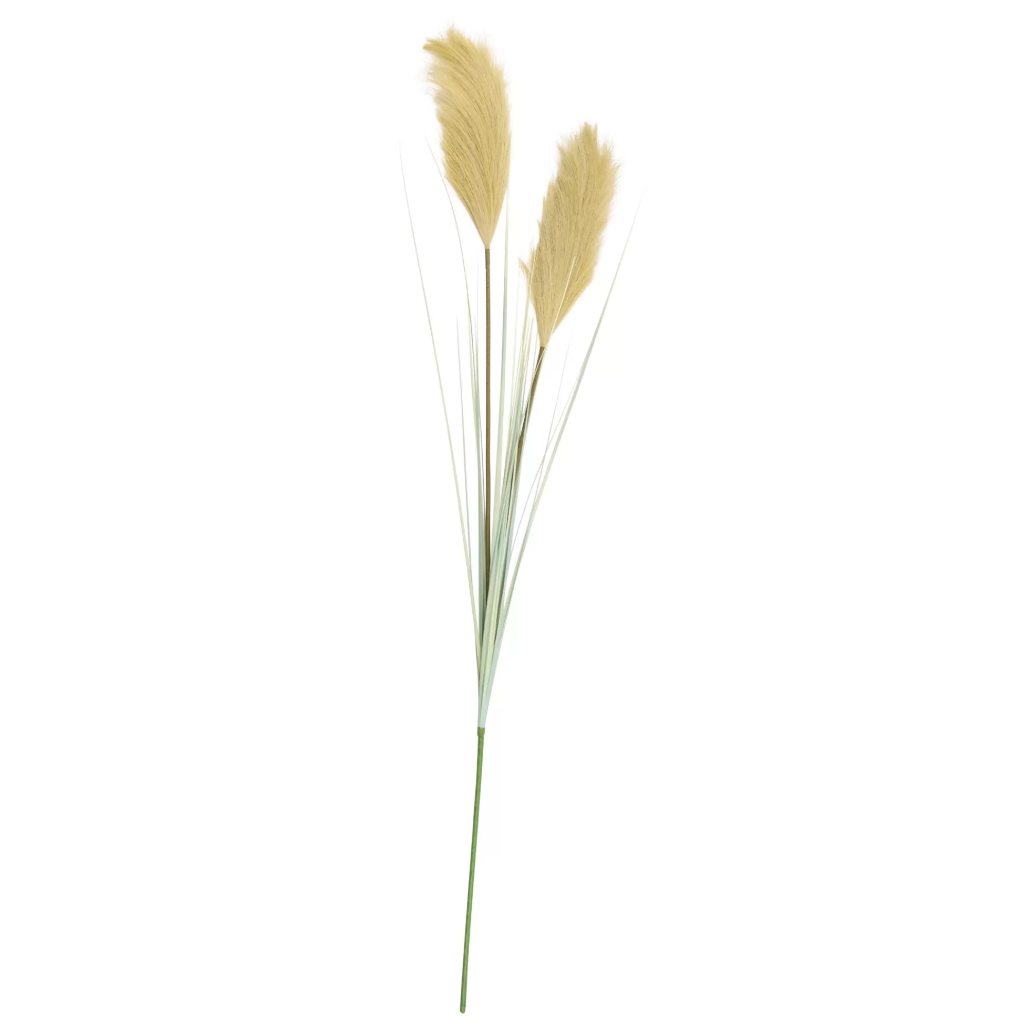 CASA Grass Piuma Di Canna Verde* Rami Artificiali