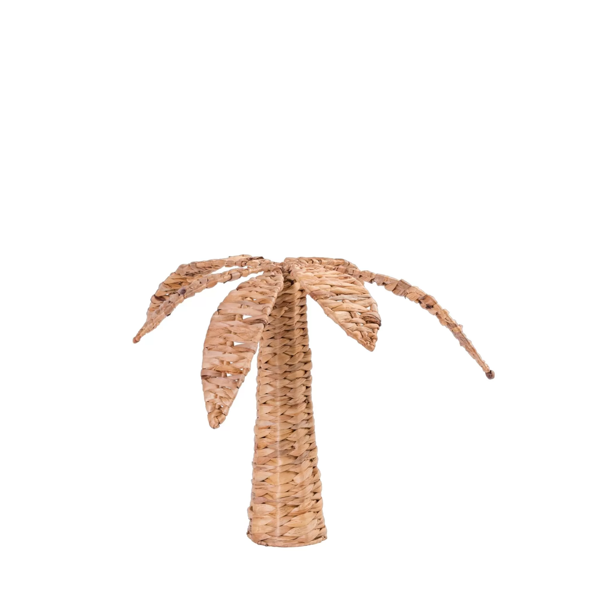 CASA Hyacinth Palma Decorativa Naturale* Figurine Decorative