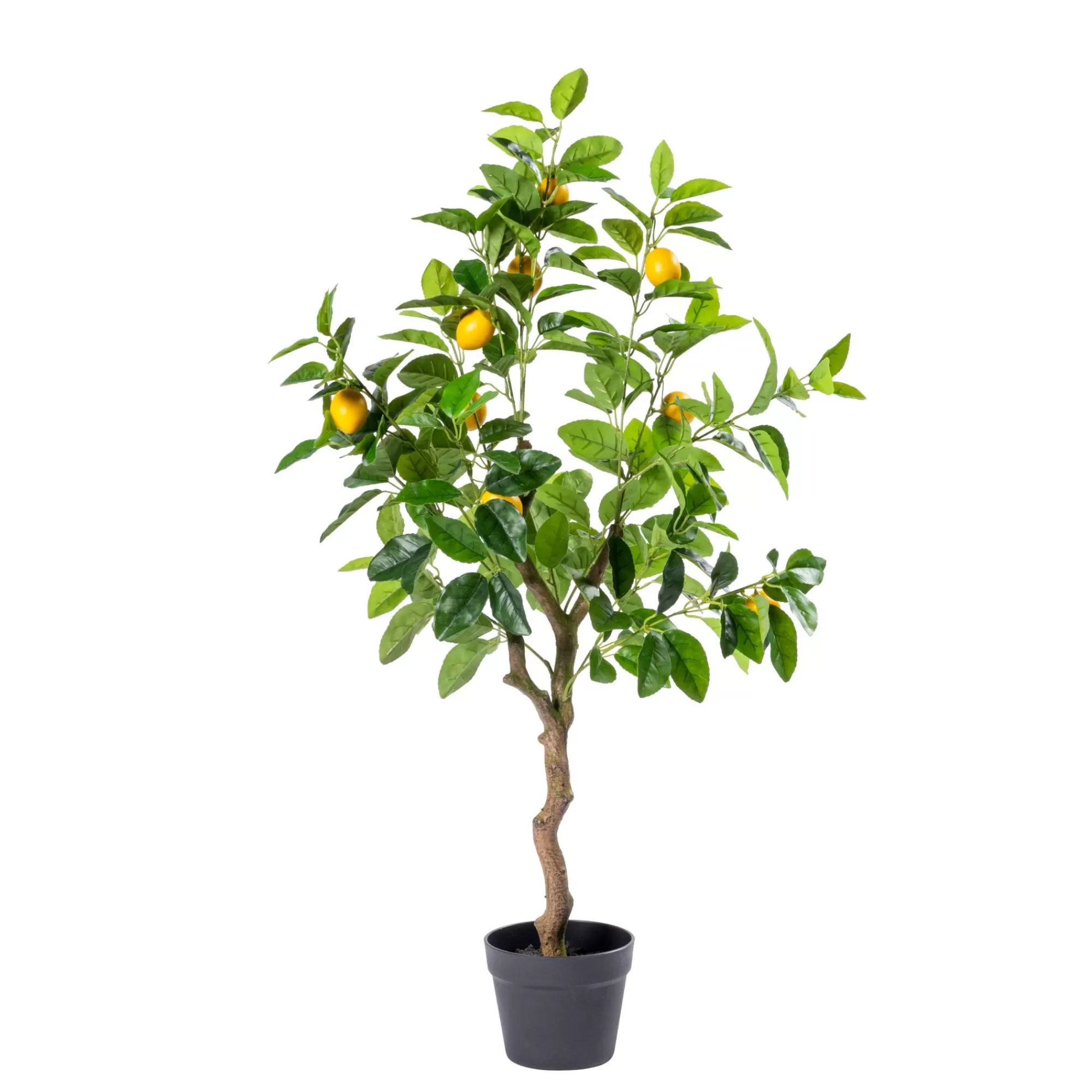 CASA Lemon Albero Di Limone Verde* Piante Artificiali