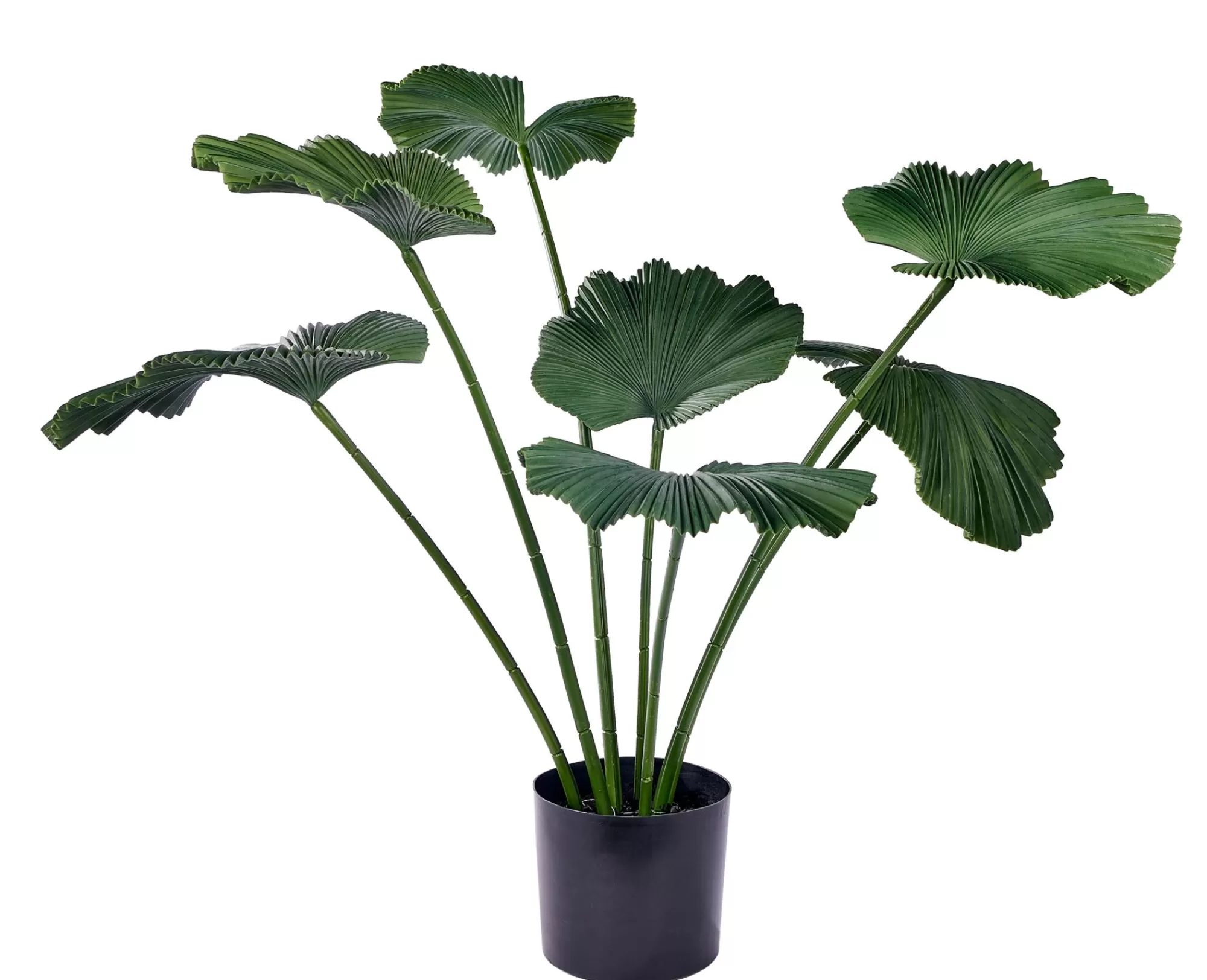 CASA Lotus Pianta Verde* Piante Artificiali
