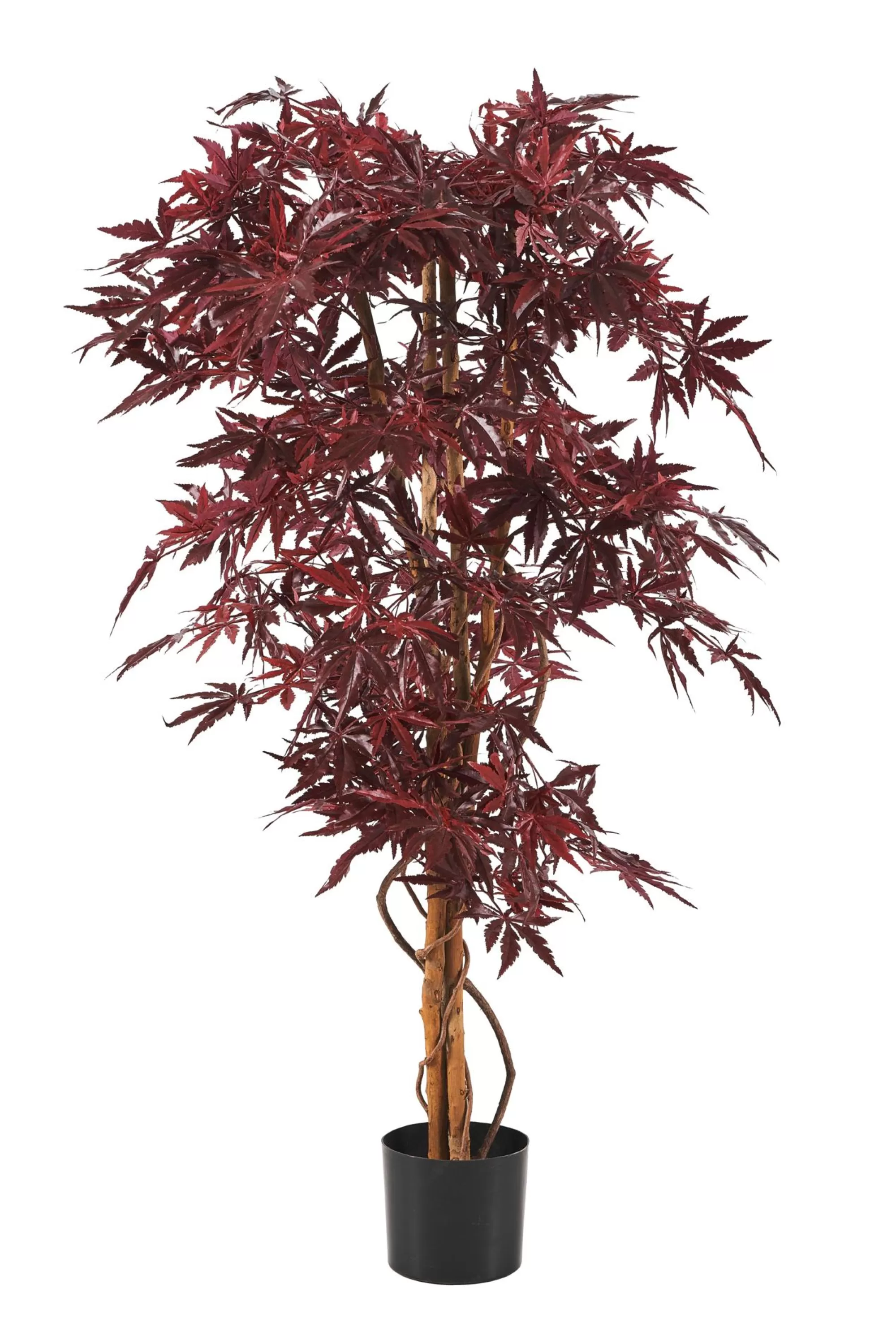 CASA Maple Pianta Artificiale Vari Colori* Piante Artificiali