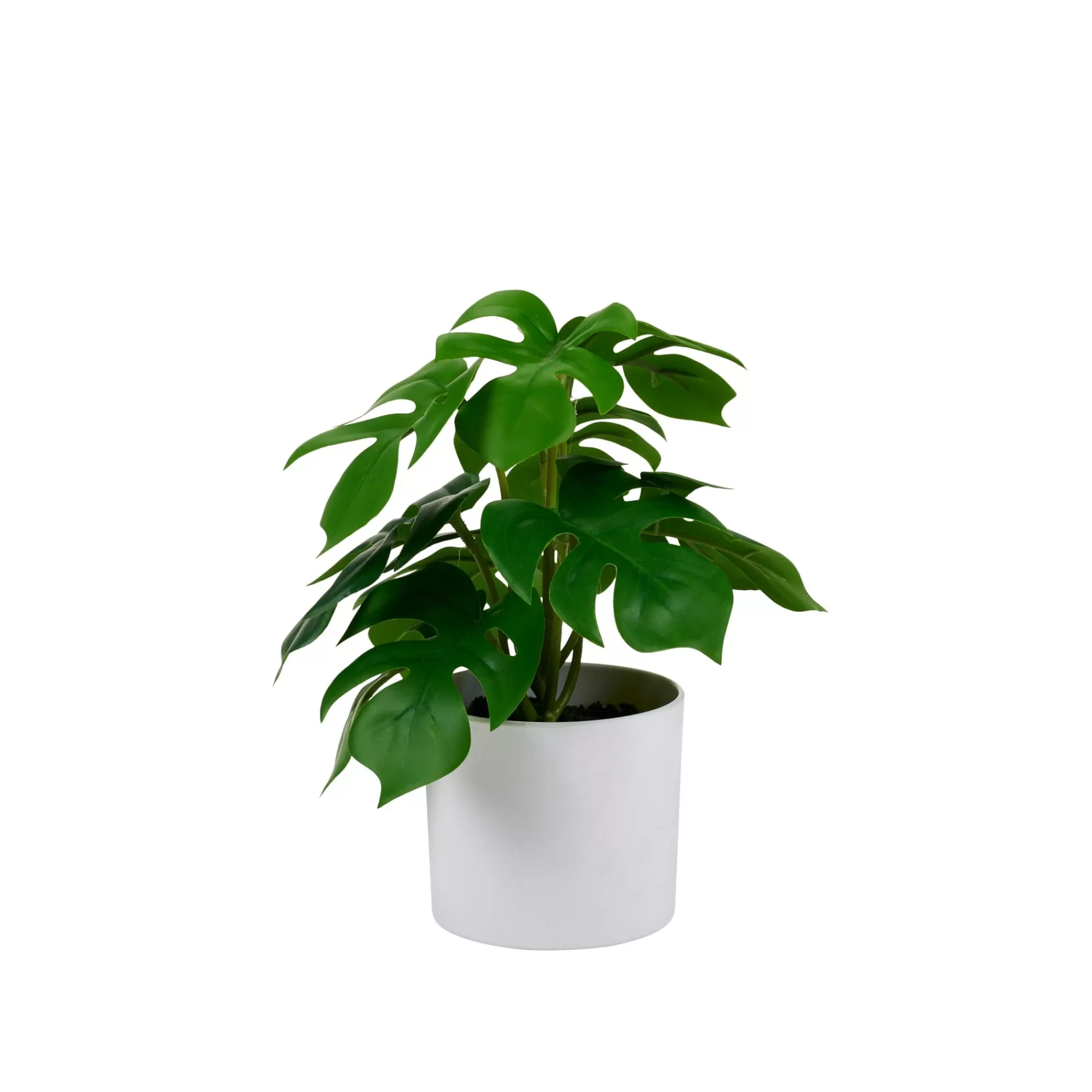 CASA Monstera Pianta Vari Colori* Piante Artificiali