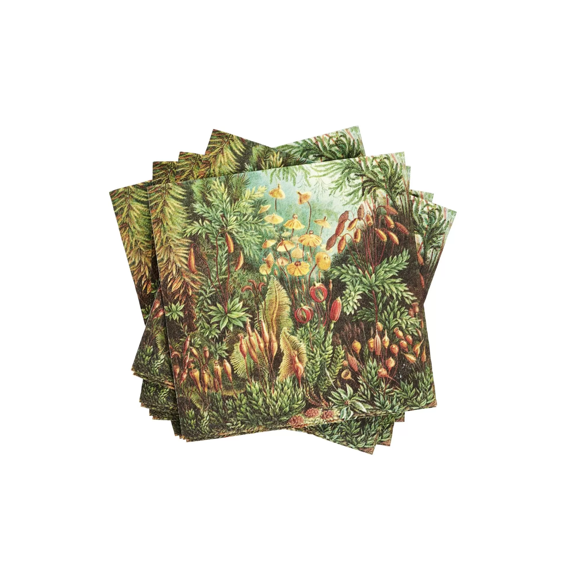 CASA Moss Set Di 20 Tovaglioli Multicolore* Tovaglioli