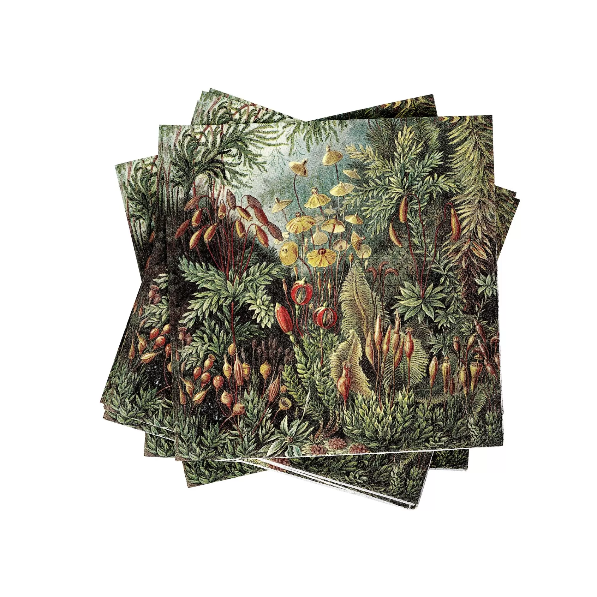 CASA Moss Set Di 20 Tovaglioli Multicolore* Tovaglioli