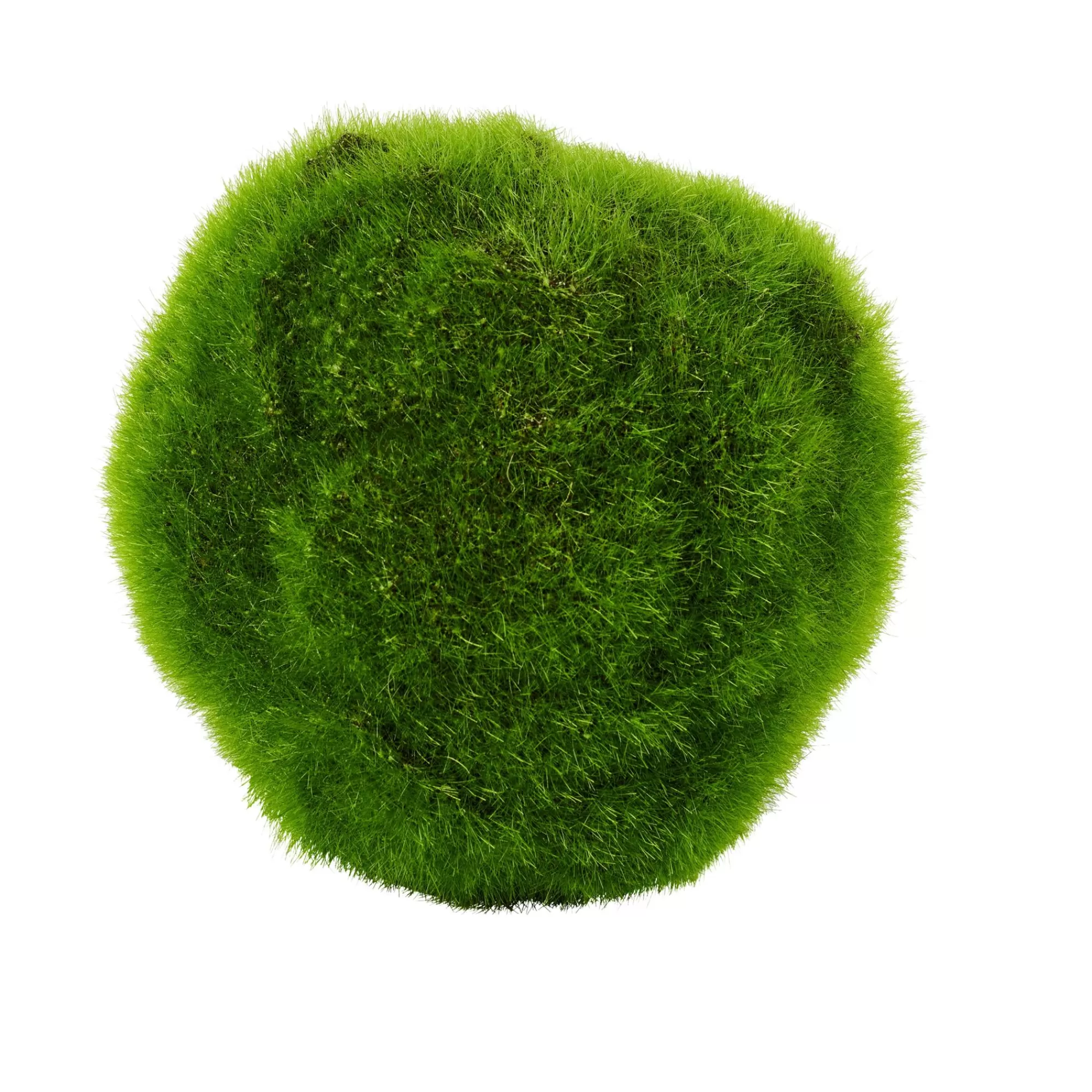 CASA Moss Sfera Di Muschio Verde* Piante Artificiali
