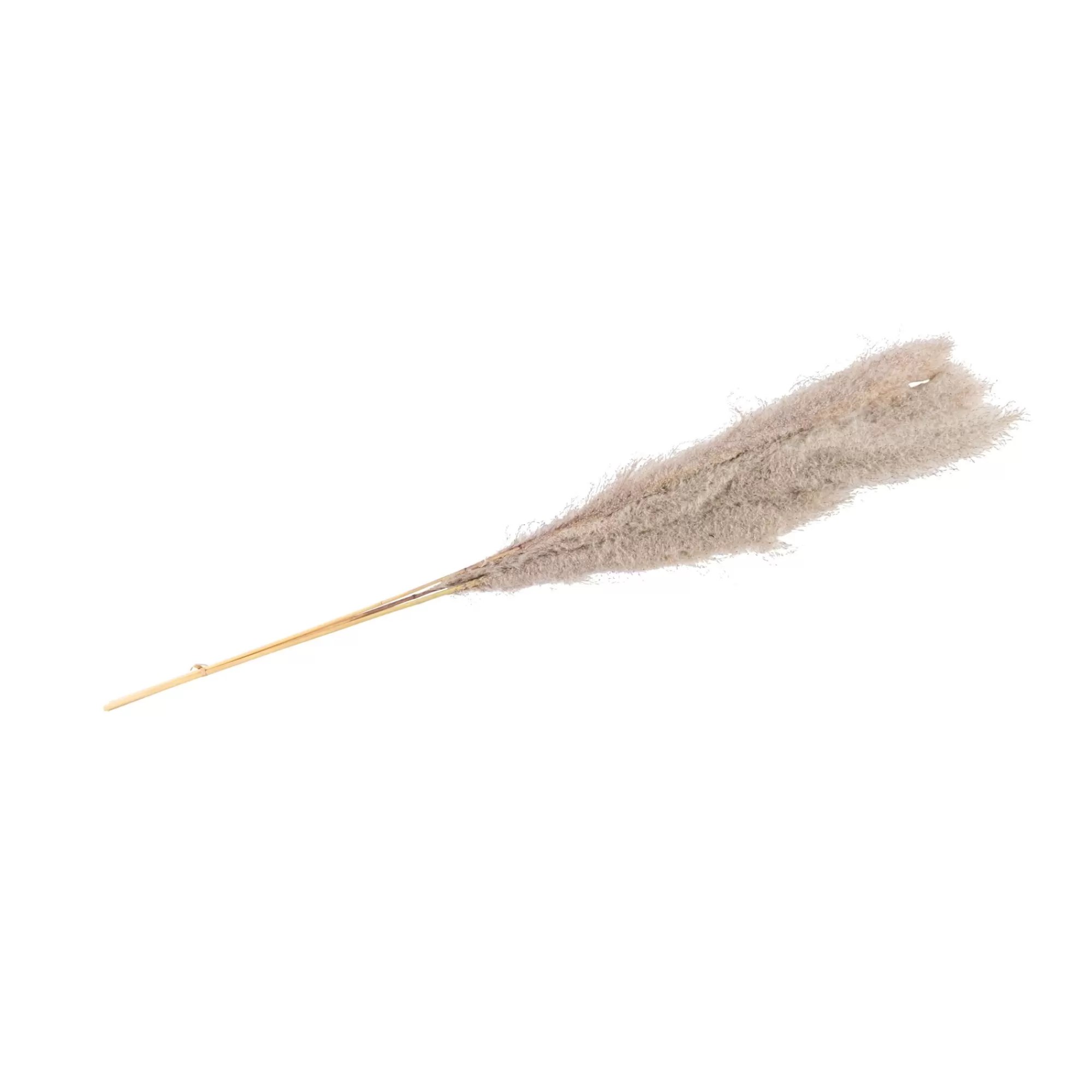 CASA Pampas Fili D'Erba Grigio* Fiori Artificiali
