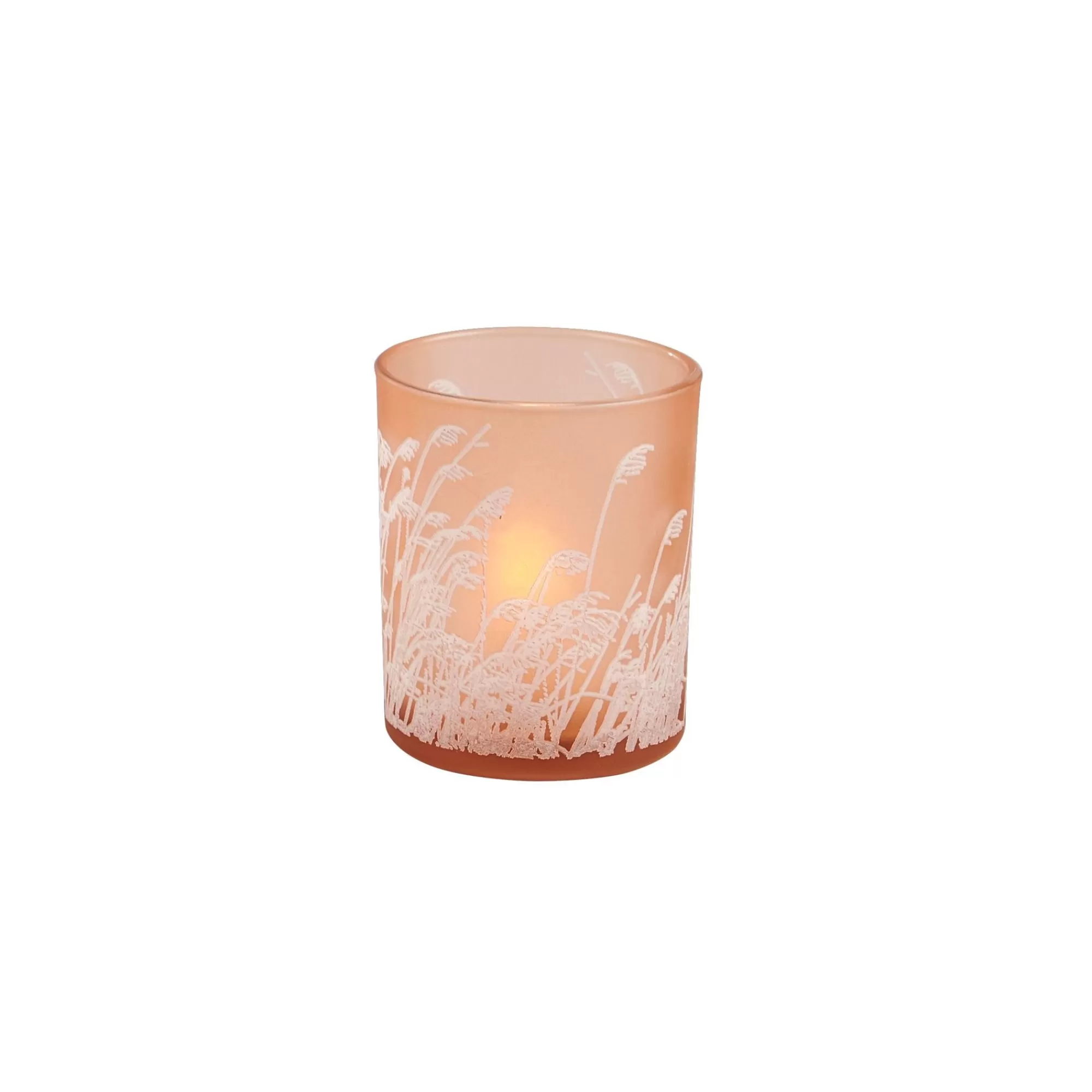 CASA Pampas Partylight Arancione* Portalumini