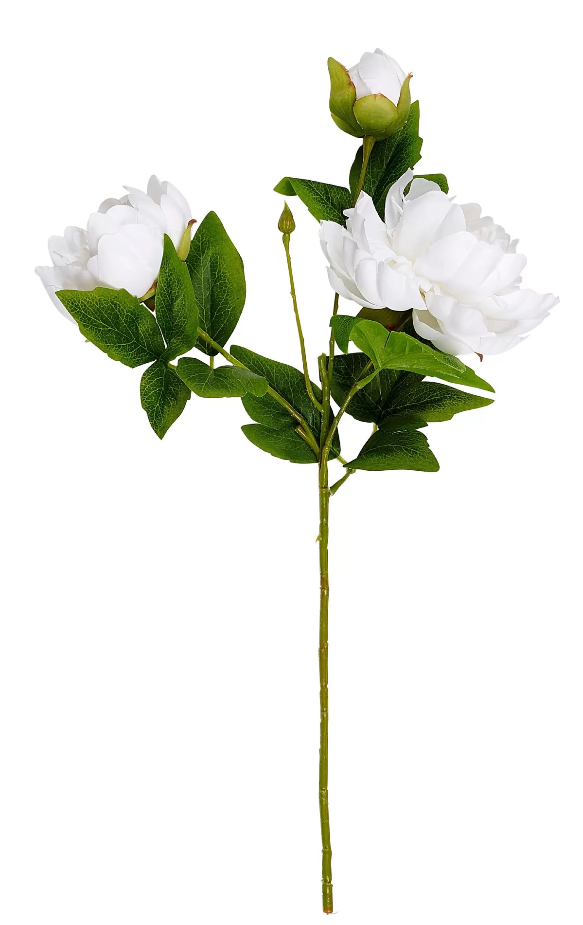 CASA Peony Peonia Bianco* Fiori Artificiali