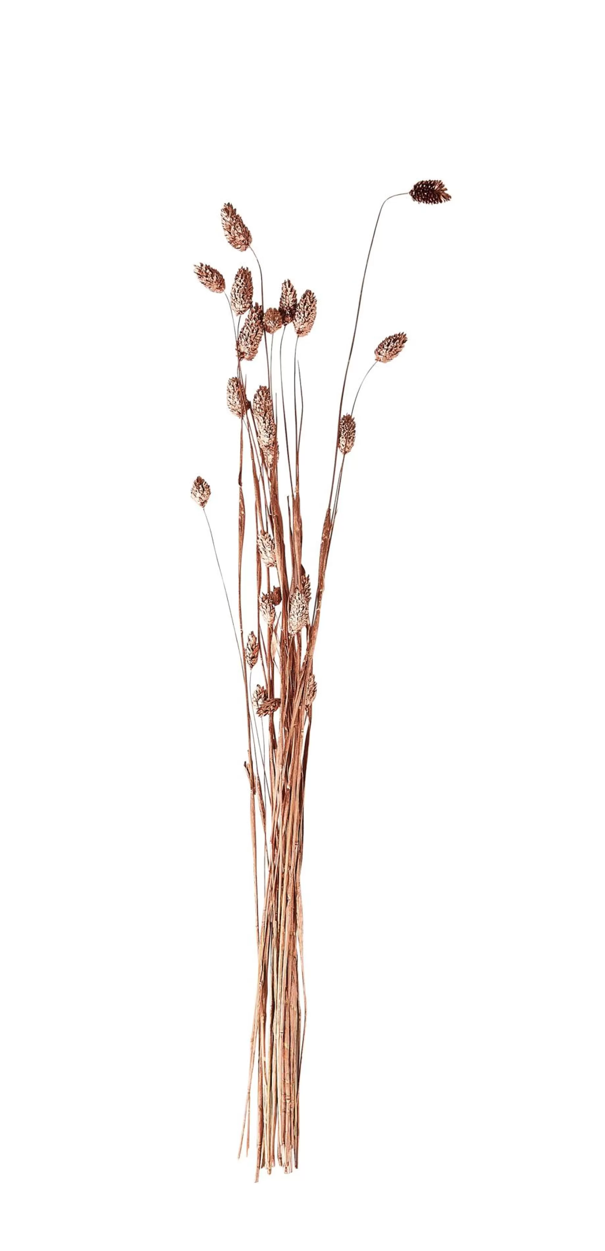 CASA Phalaris Erba Decorativa Rame* Piante Artificiali