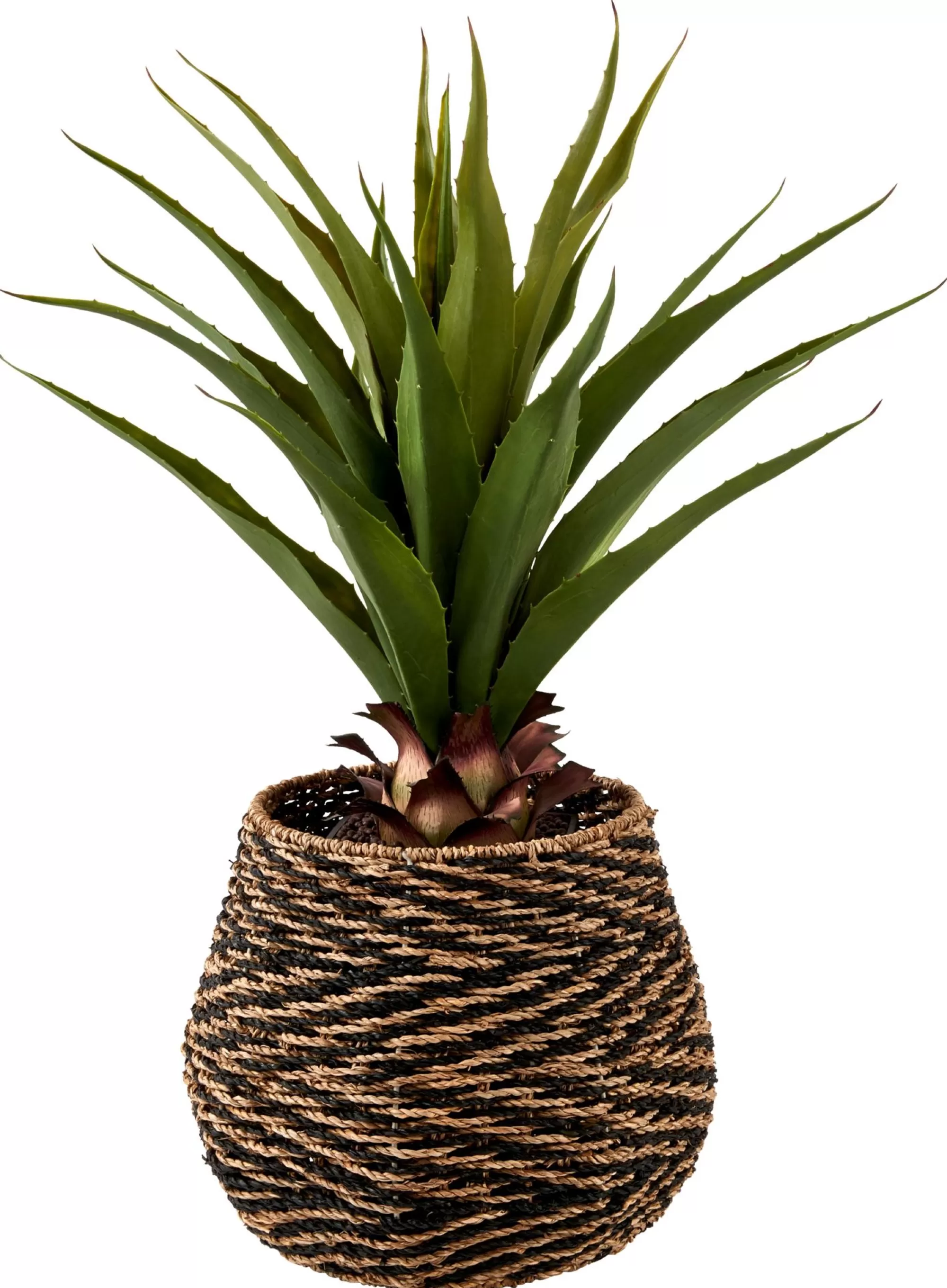 CASA Vera Aloe Vera Verde* Piante Artificiali